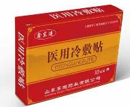 山东东进药业有限公司